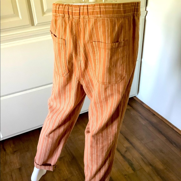 Anthropologie Terracotta Pants - Picture 11 of 16